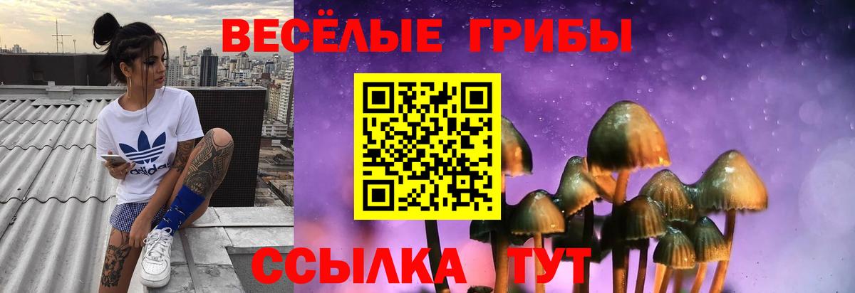 Псилоцибиновые грибы Magic Shrooms  Галлюциногенные грибы Magic Shrooms  Михайловка  Вход с VPN 